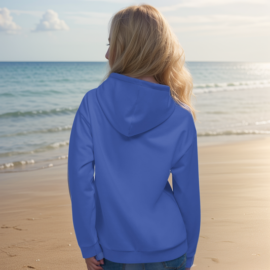 Blue coloured Hoodie